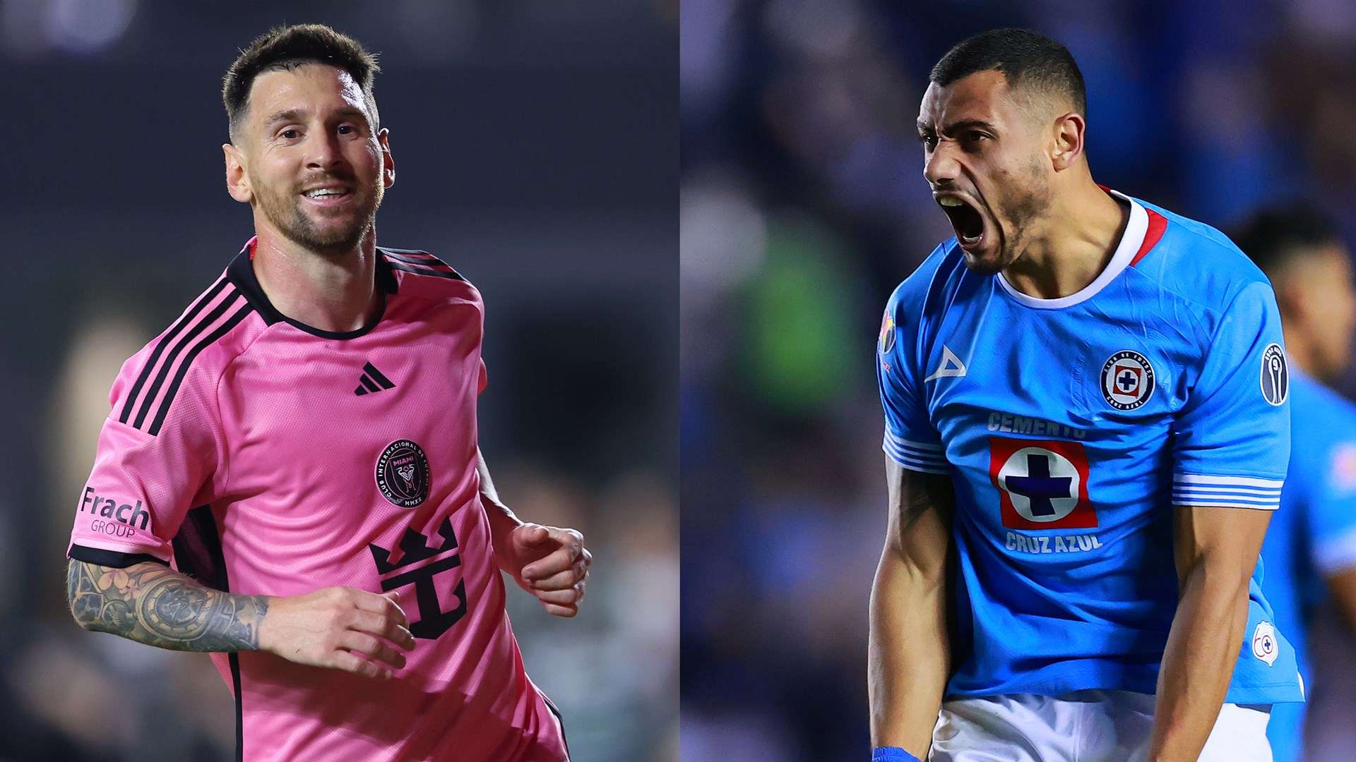 马黛茶的战 马黛茶的战